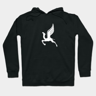 CAMELASUS VINTAGE LIVERY Hoodie